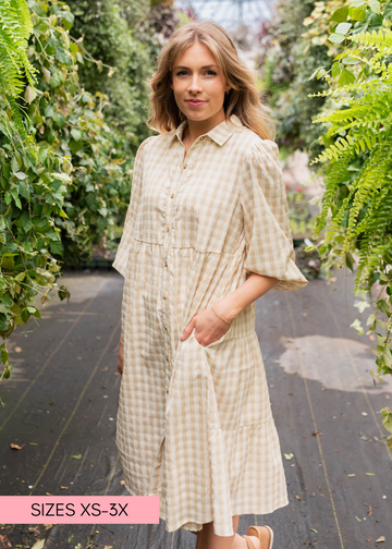 Cambree Taupe Gingham Button Down Dress