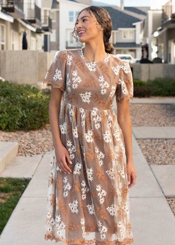 Lola Brown Embroidered Dress