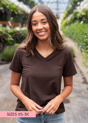 The Classic Brown V-Neck Top