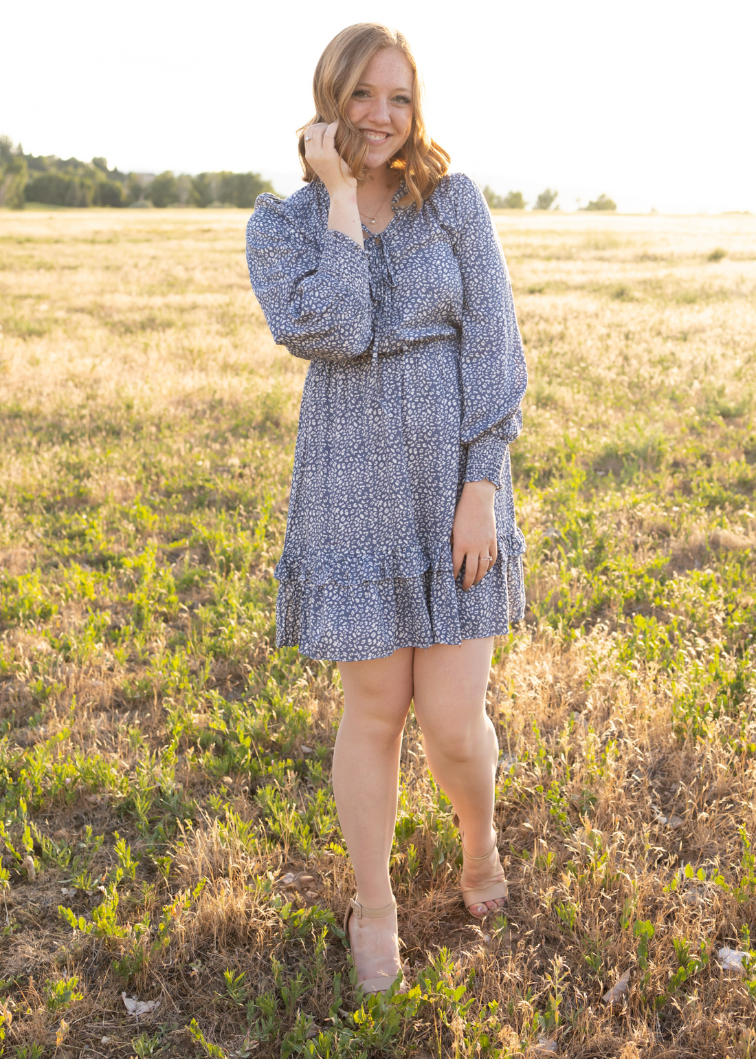 Cassidy Blue Leopard Dress