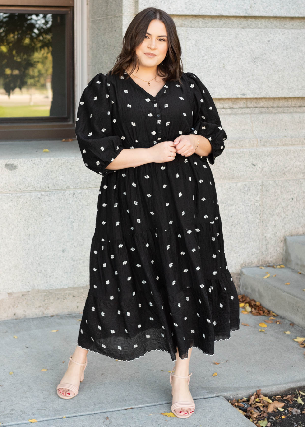 Liz Black Embroidered Button Dress