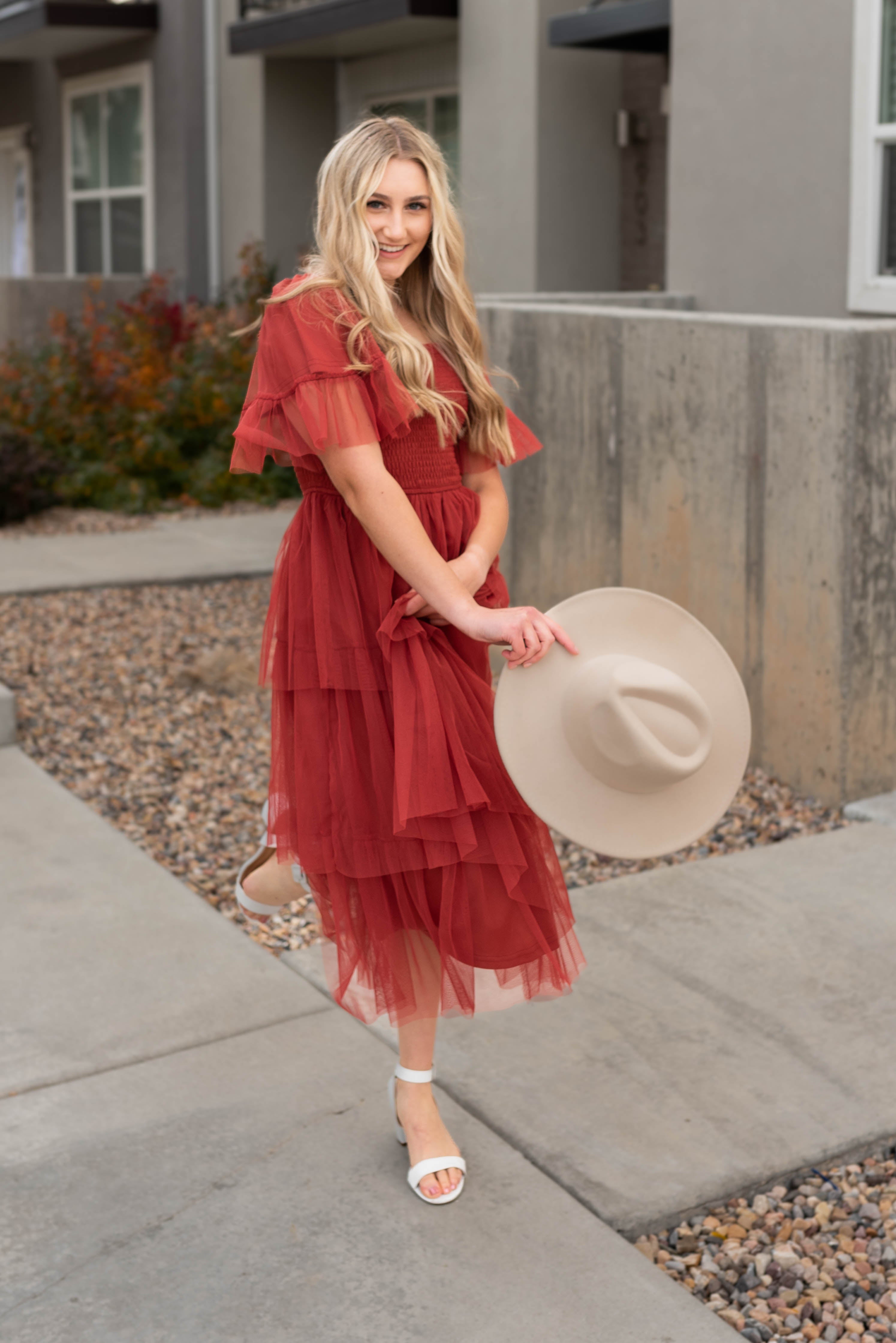 Ada Rust Mesh Ruffle Dress