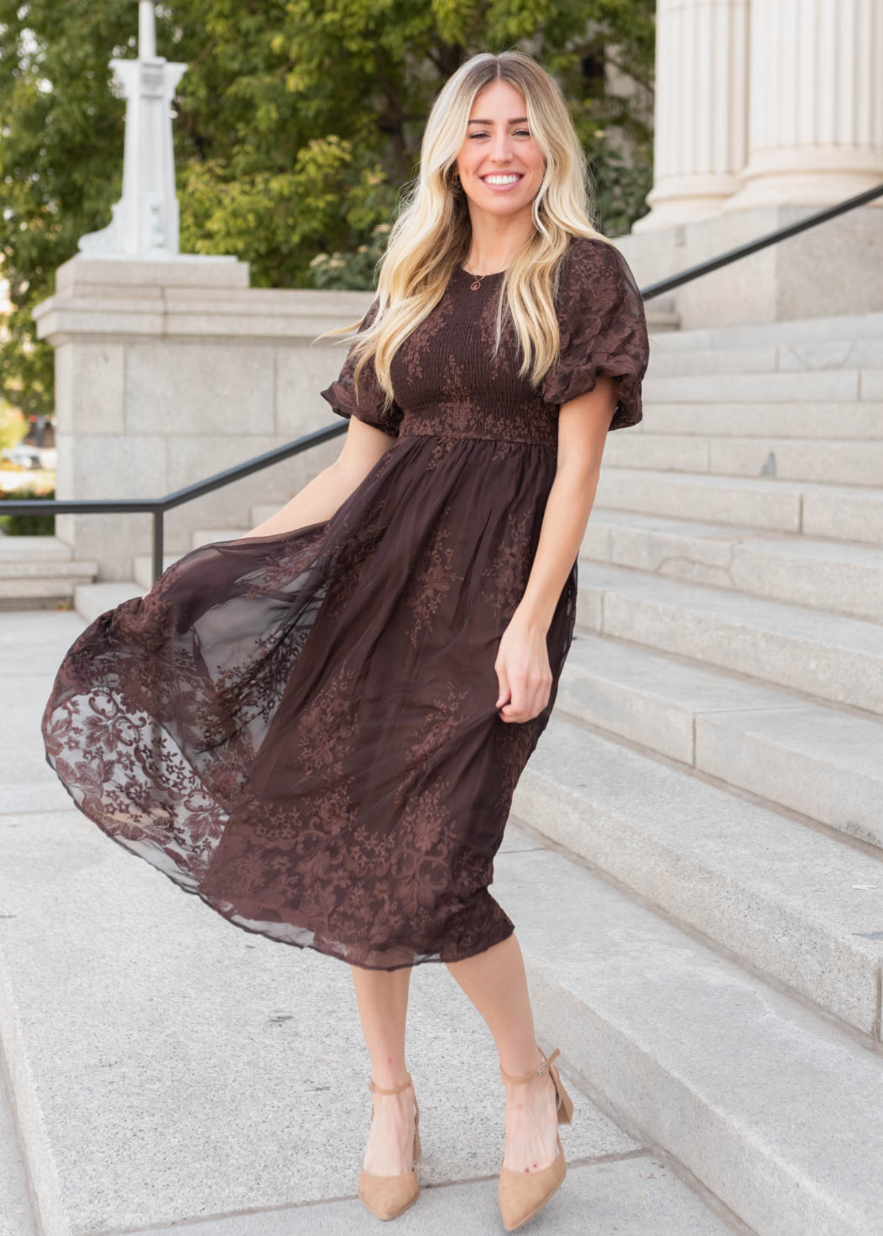 Alyanna Brown Embroidered Dress