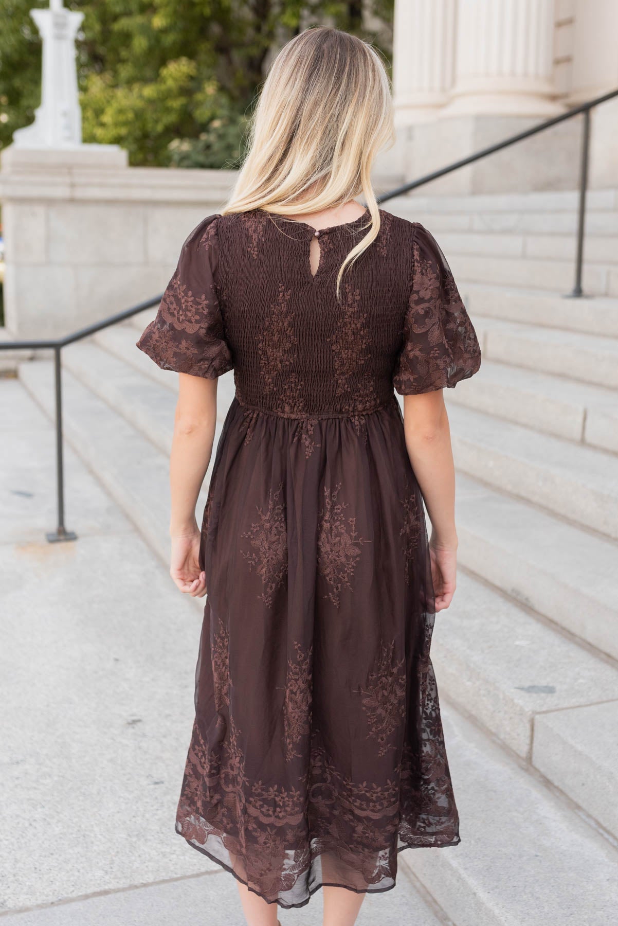 Alyanna Brown Embroidered Dress