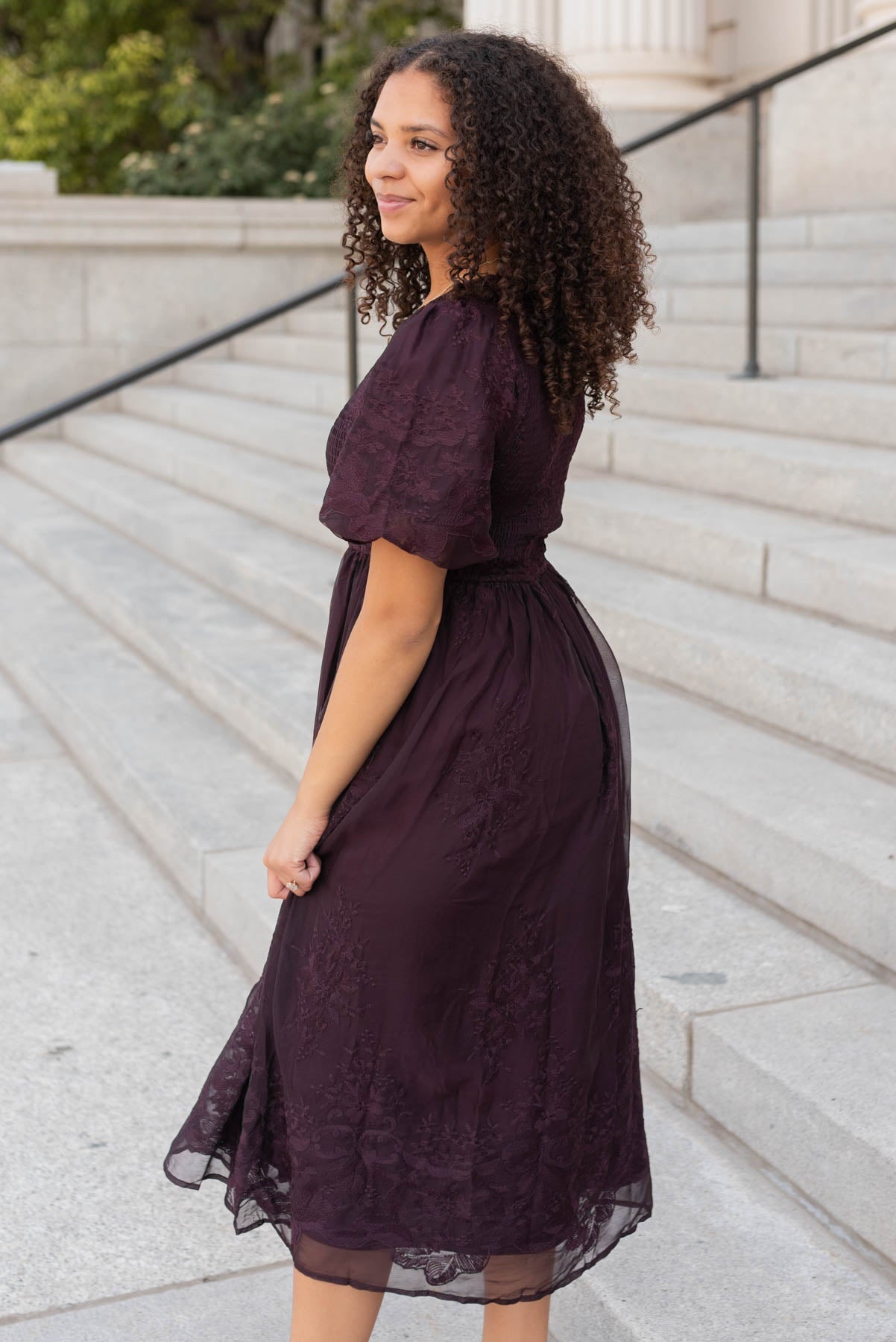Alyanna Plum Embroidered Dress