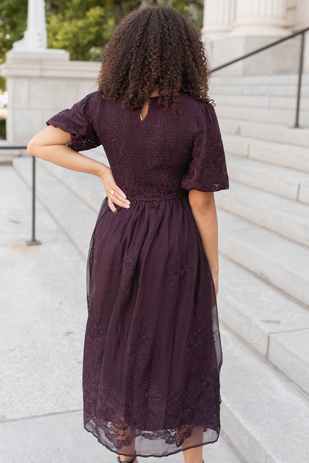 Alyanna Plum Embroidered Dress