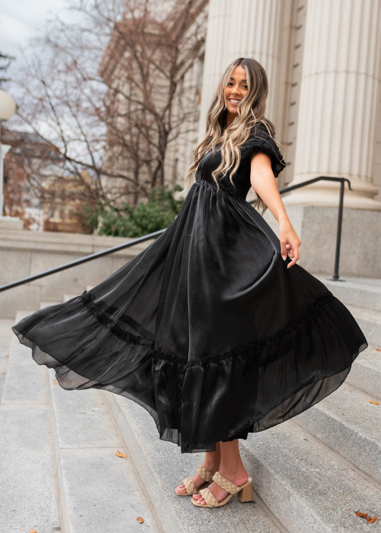 Anita Black Organza Dress