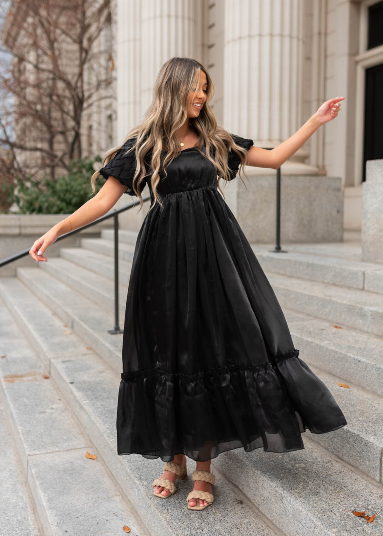Anita Black Organza Dress