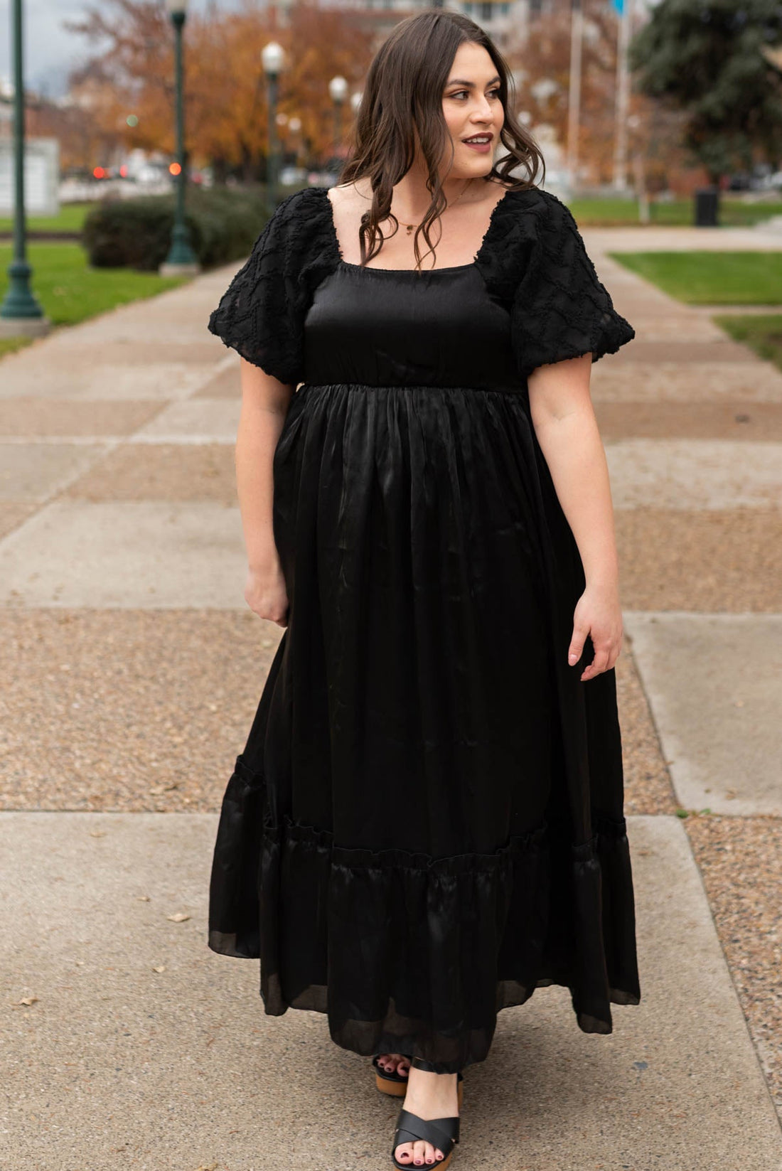 Anita Black Organza Dress