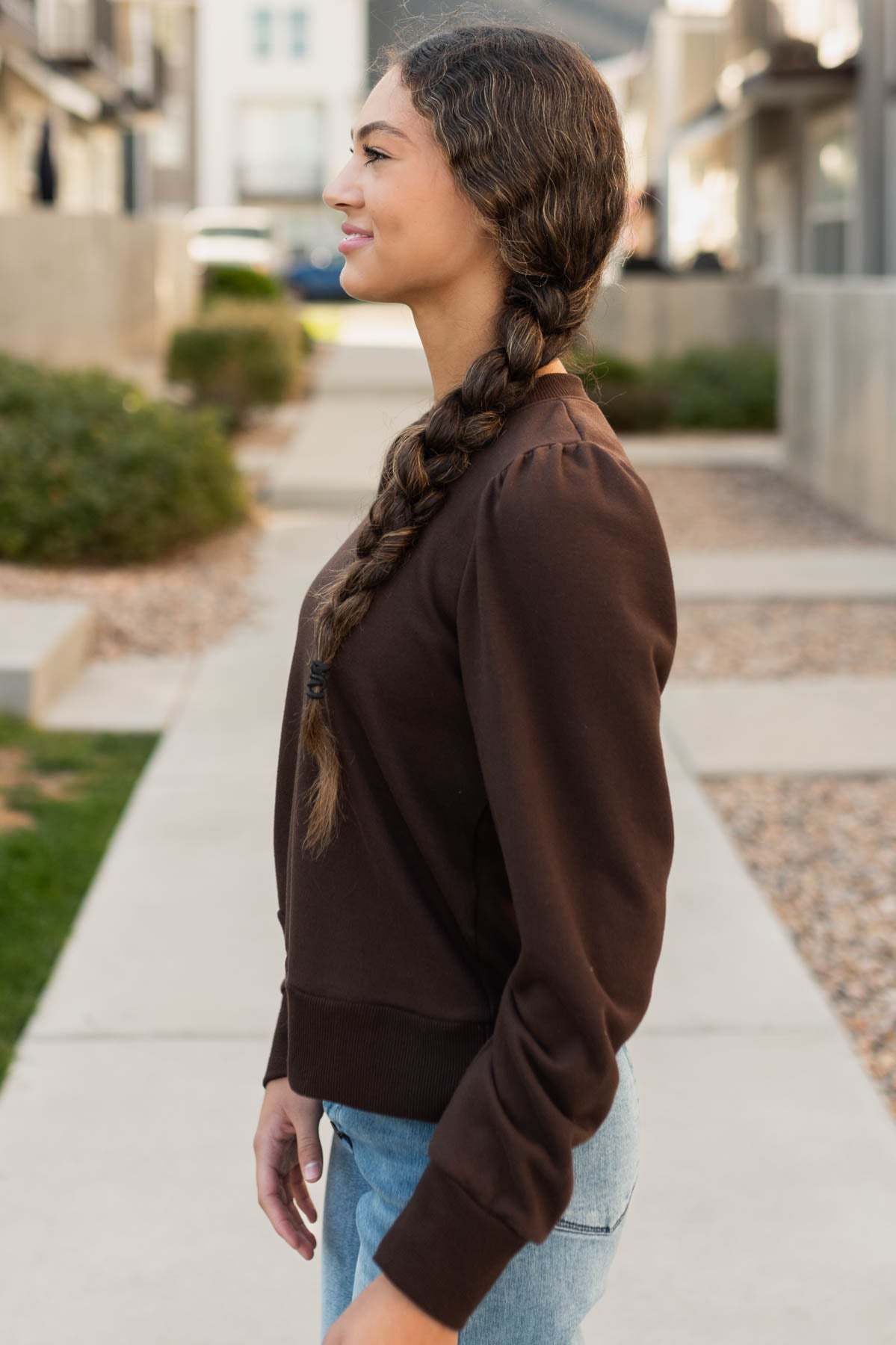 Anna Brown Pullover