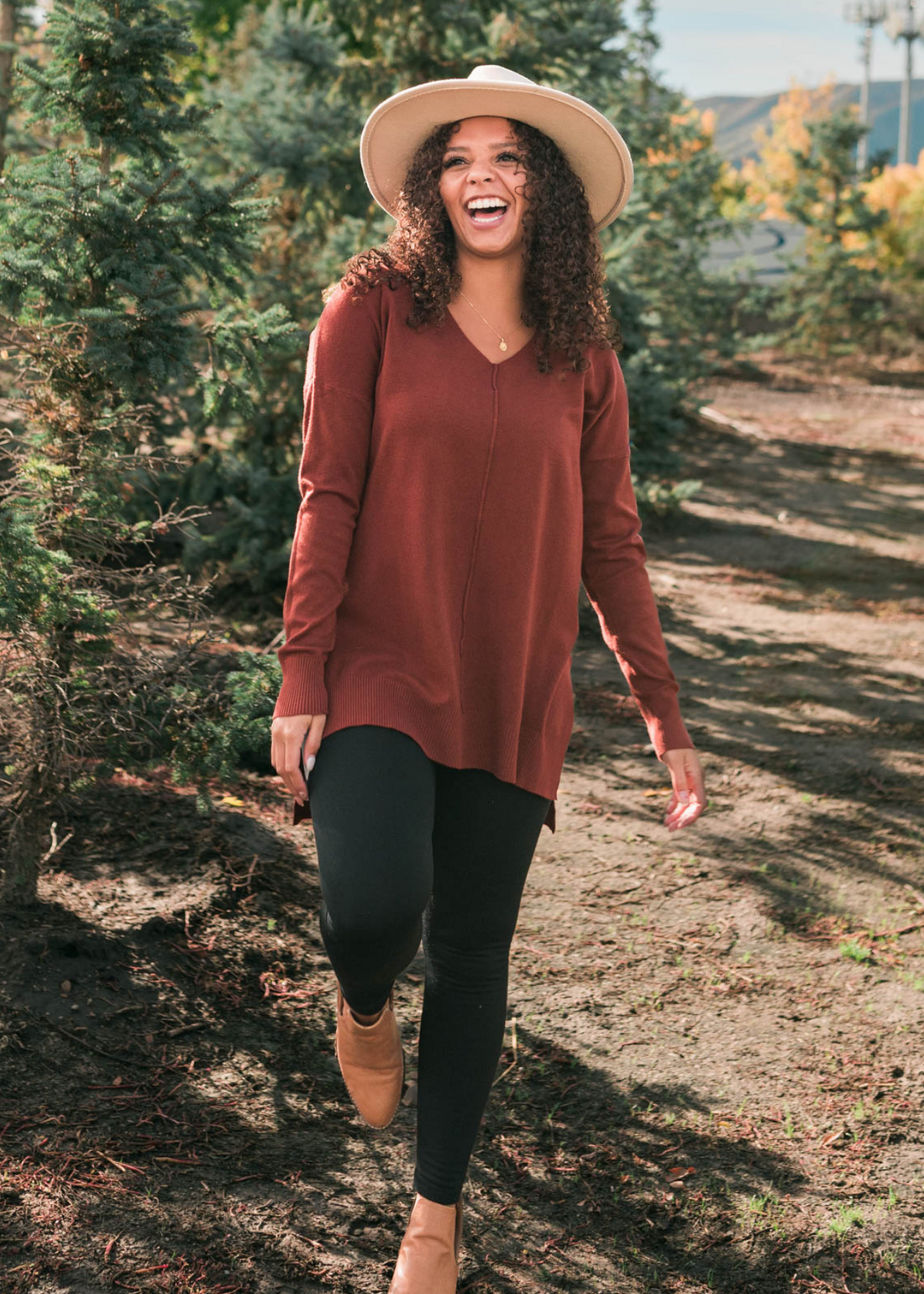 Ardelia Dark Rust V Neck Sweater