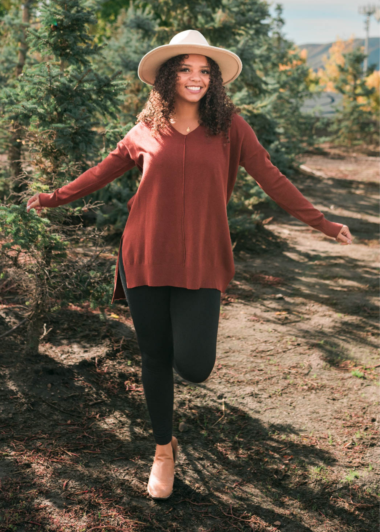 Ardelia Dark Rust V Neck Sweater