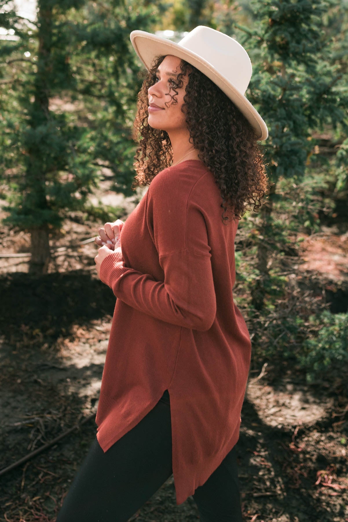 Ardelia Dark Rust V Neck Sweater