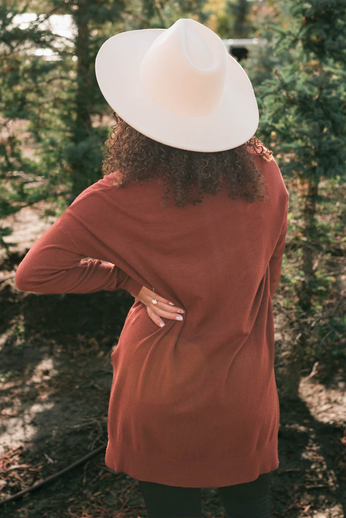 Ardelia Dark Rust V Neck Sweater