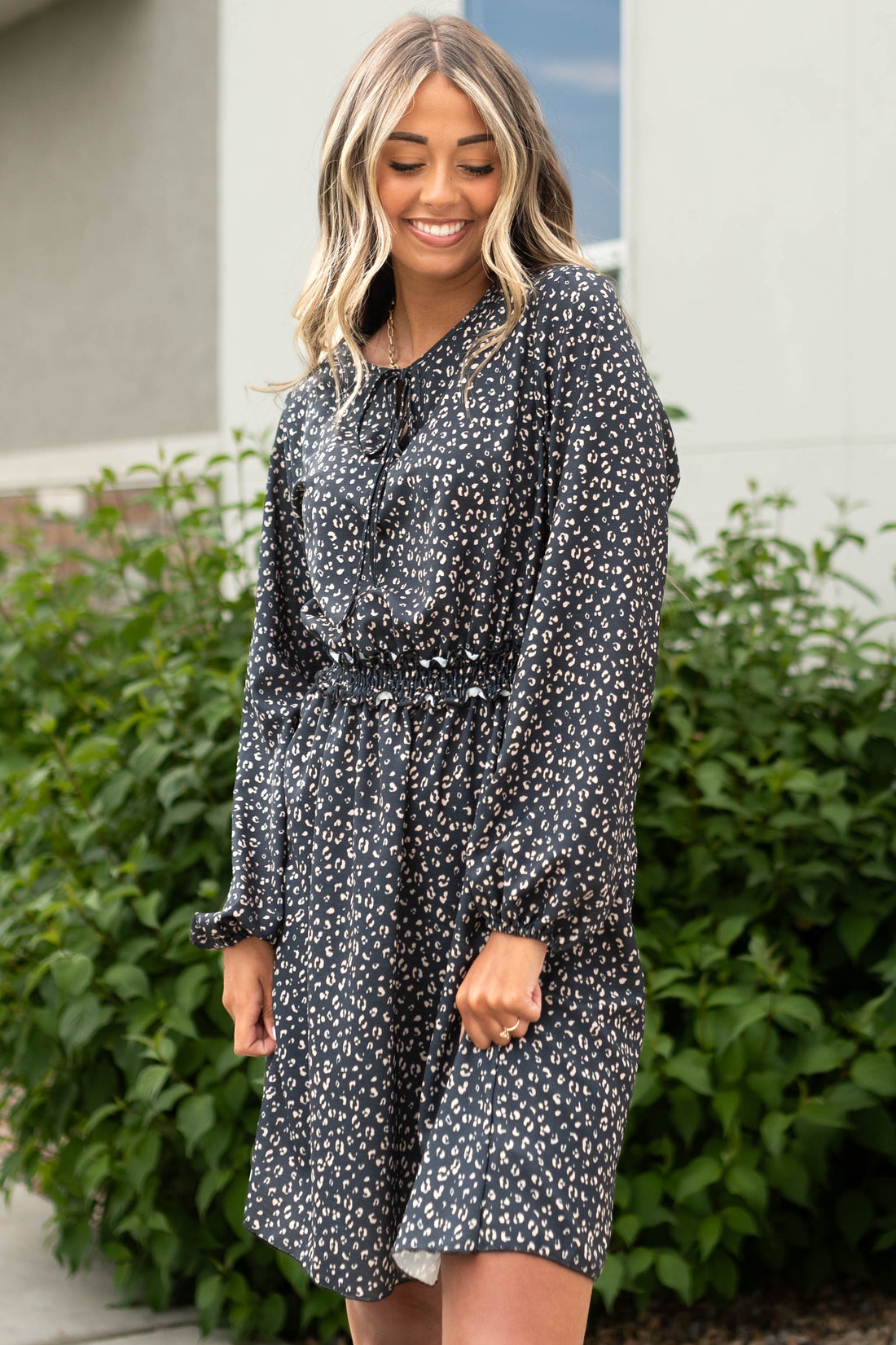 Ariella Black Leopard Dress