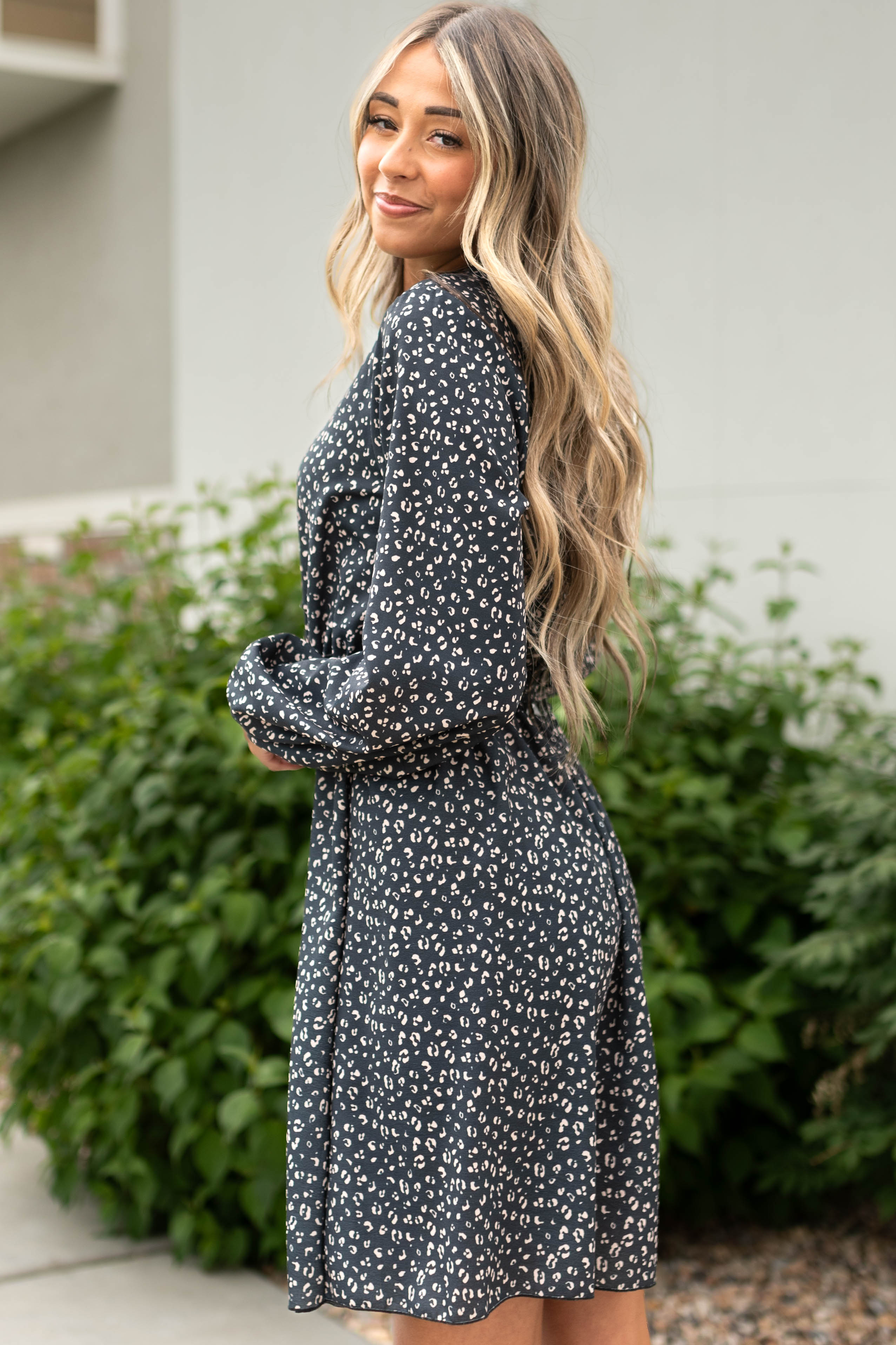 Ariella Black Leopard Dress