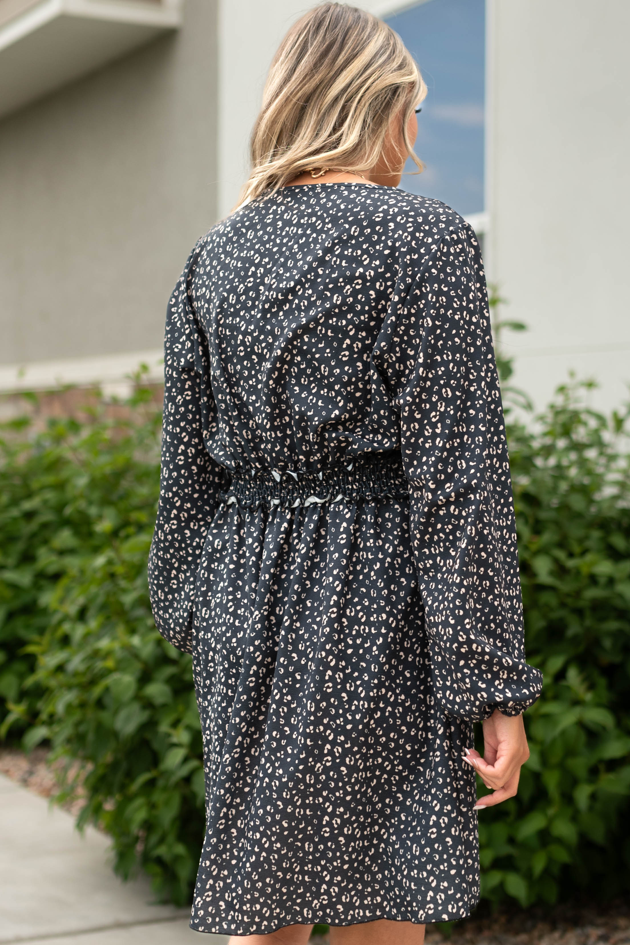 Ariella Black Leopard Dress