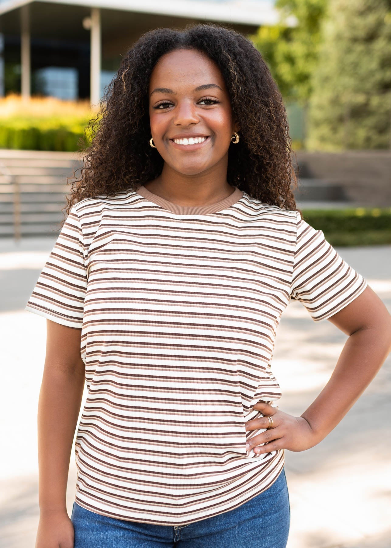 Aspen Brown Striped Top