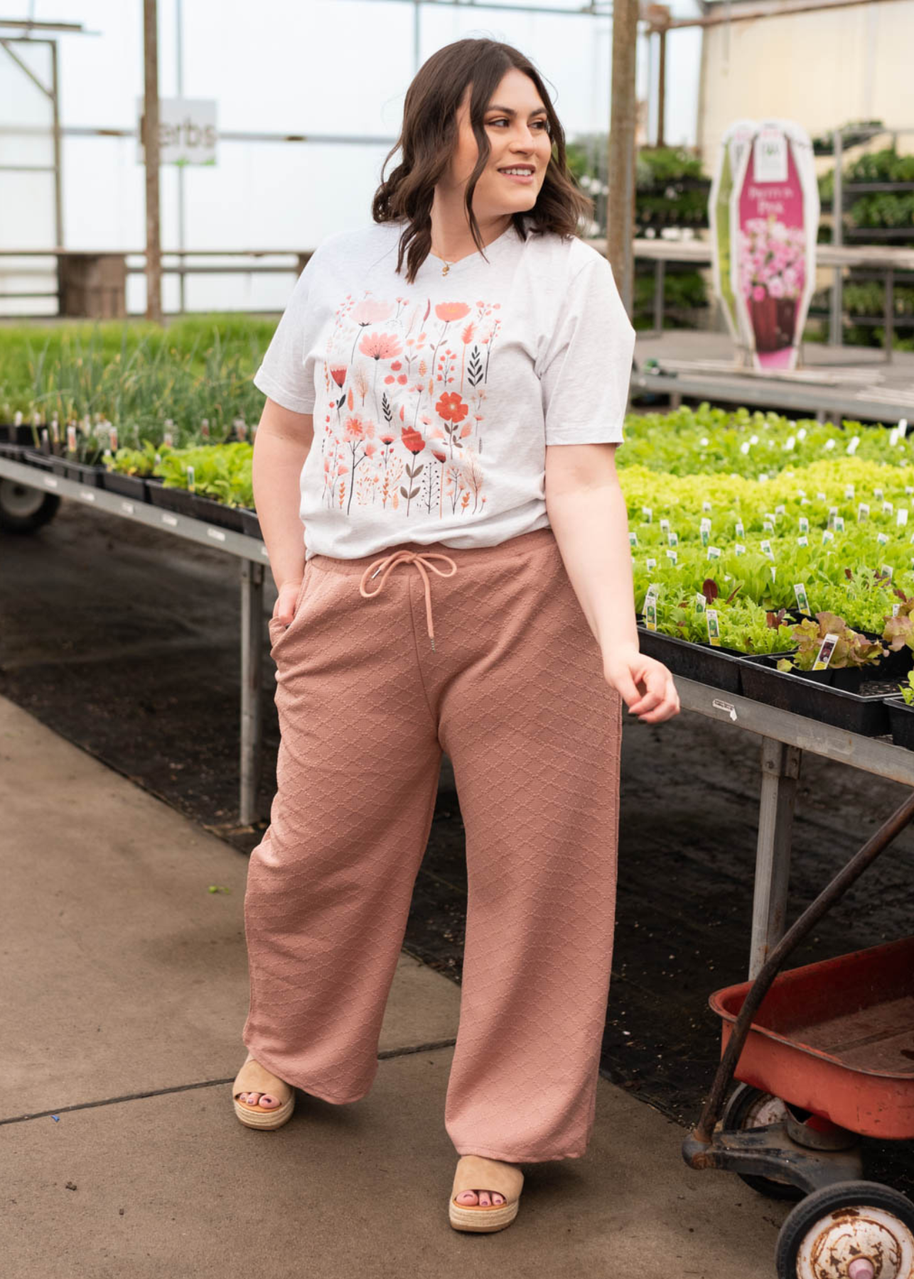 Aster Pink Wildflower Graphic T-Shirt