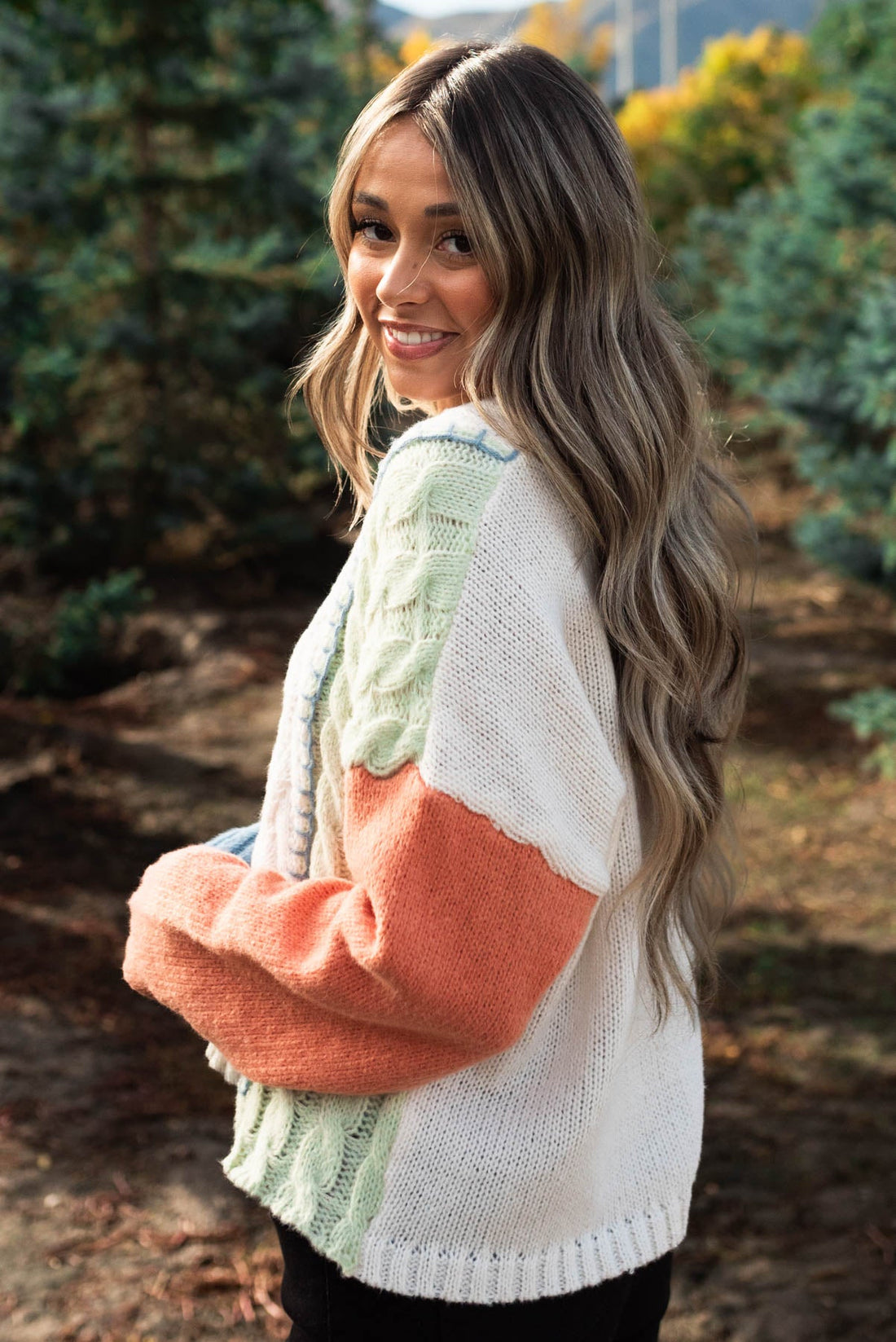 Britlee Knit Multi Sweater