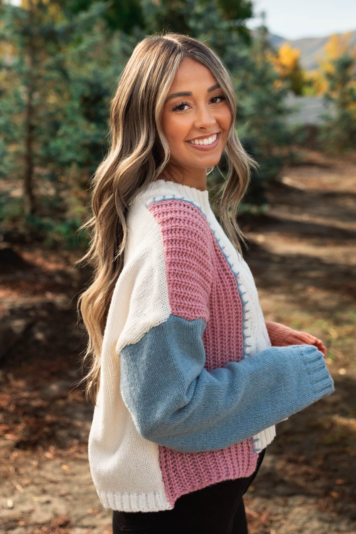 Britlee Knit Multi Sweater