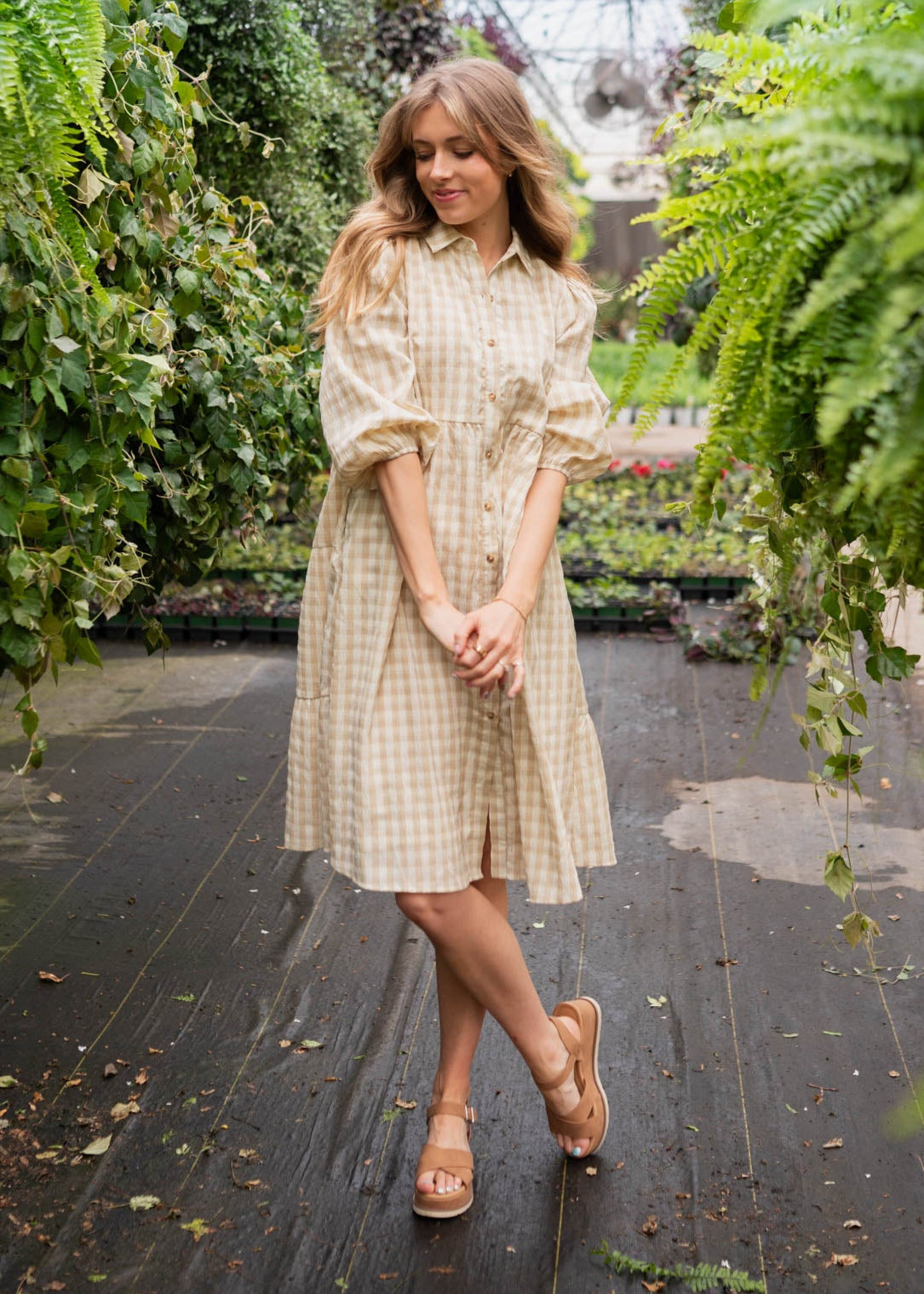 Cambree Taupe Gingham Button Down Dress