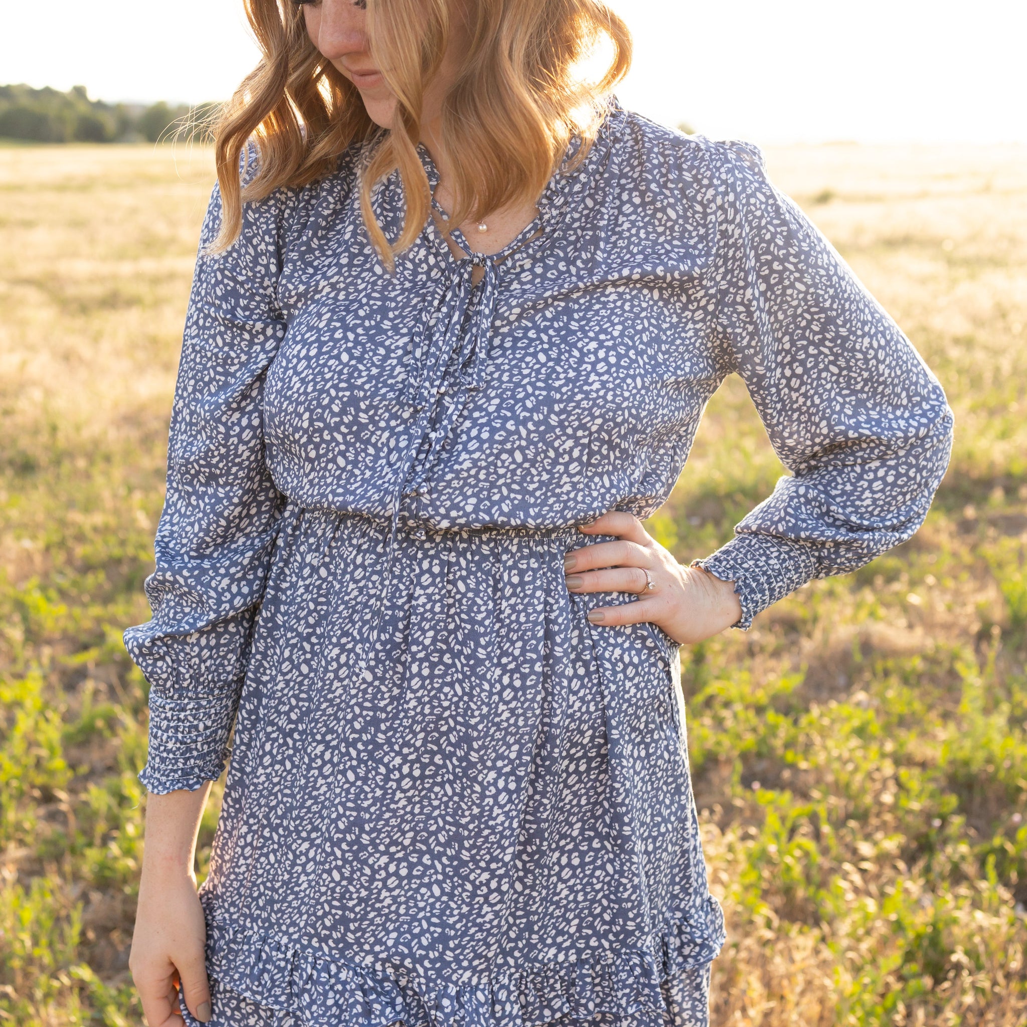 Cassidy Blue Leopard Dress