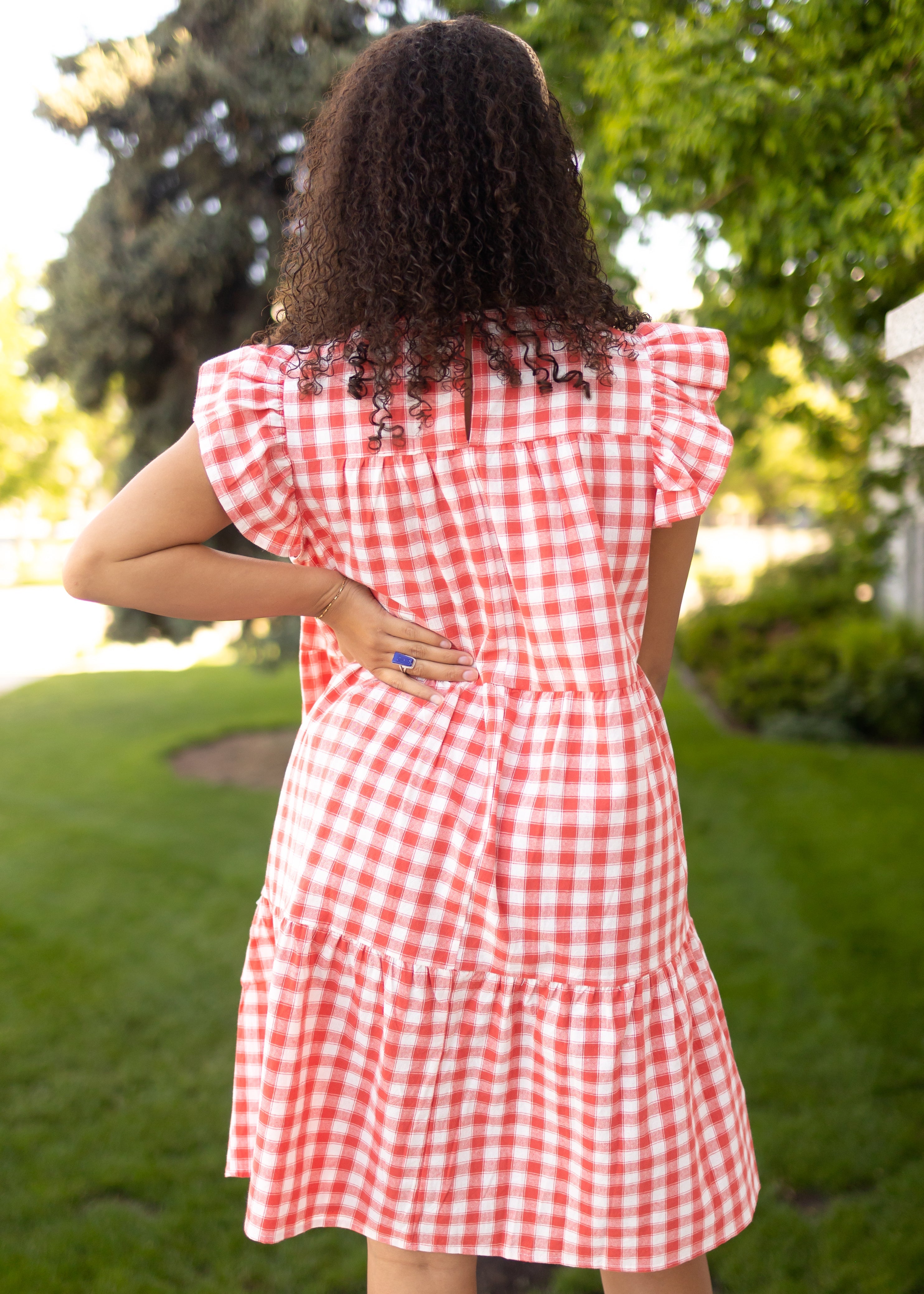 Cherrie Red Gingham Dress