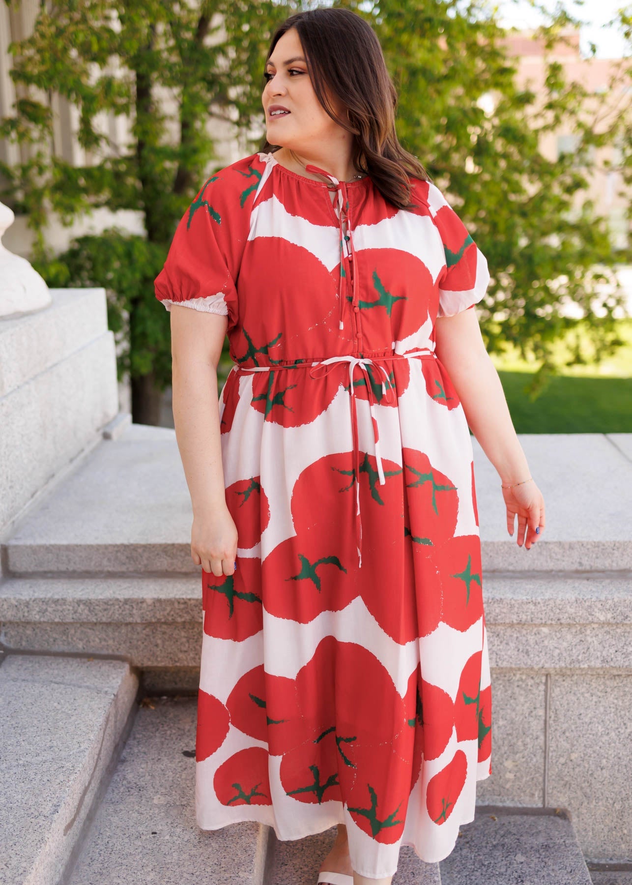 Hanna Red Pattern Dress
