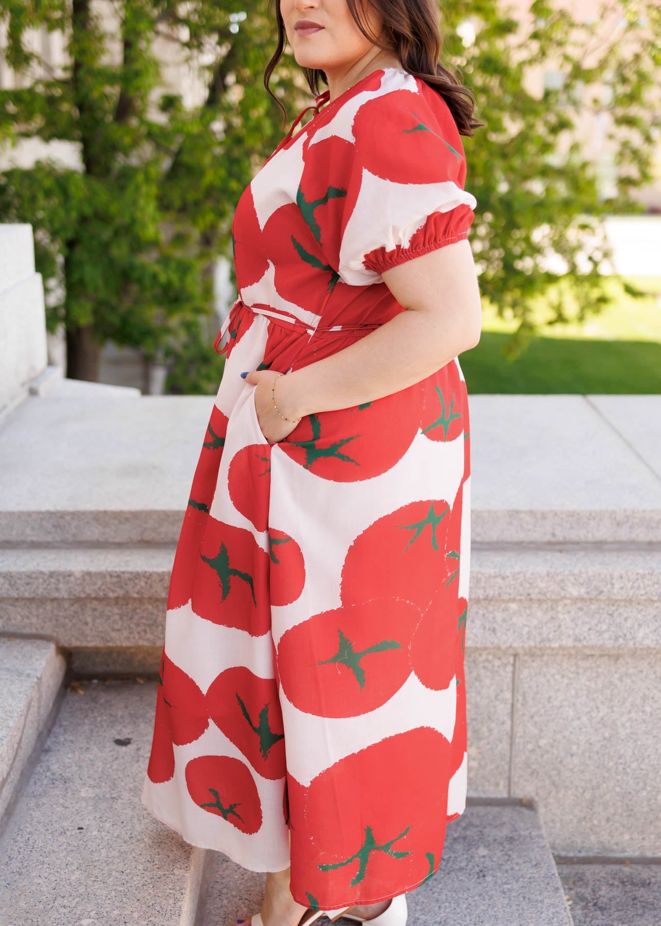 Hanna Red Pattern Dress