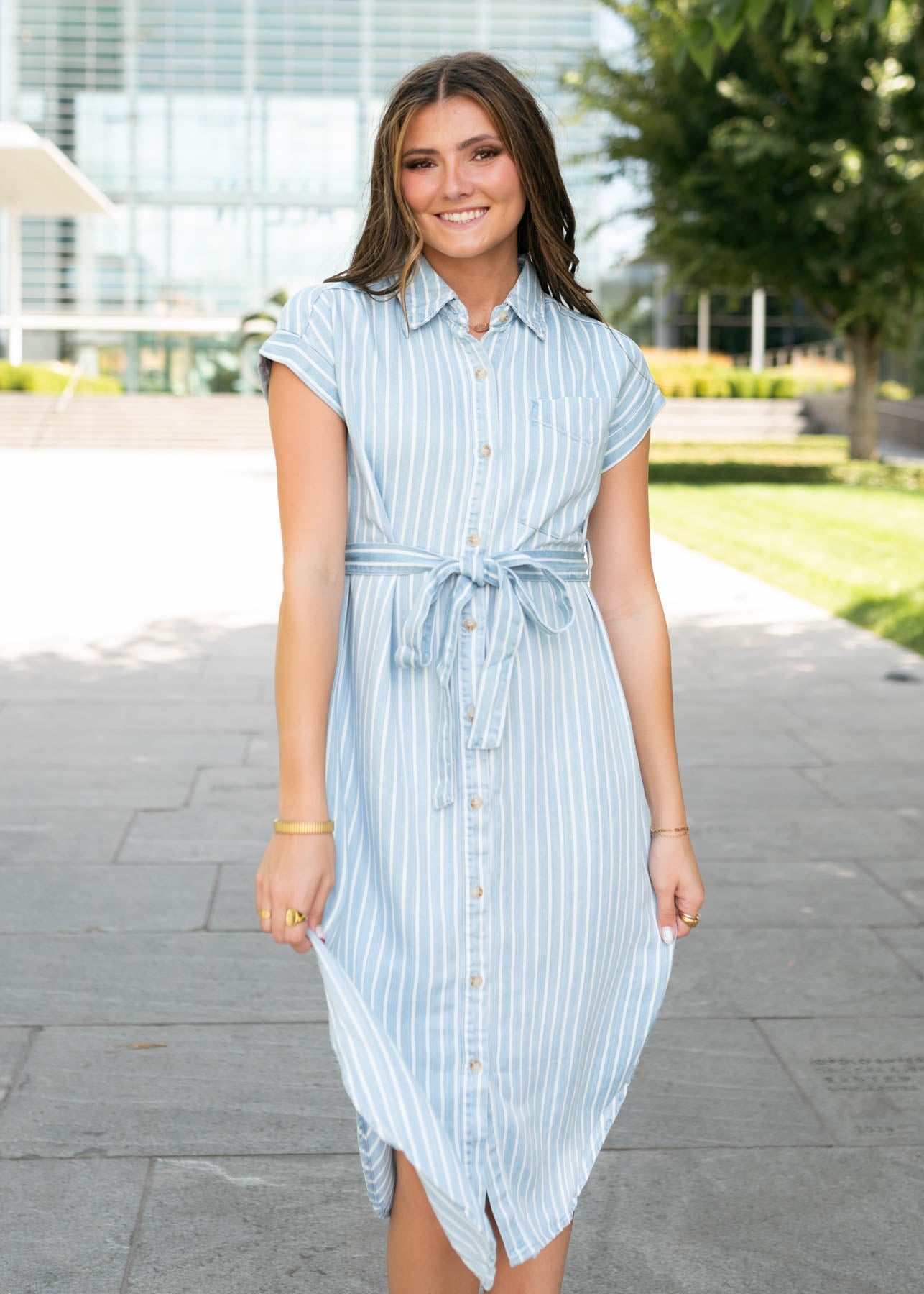 Joan Chambray Striped Dress