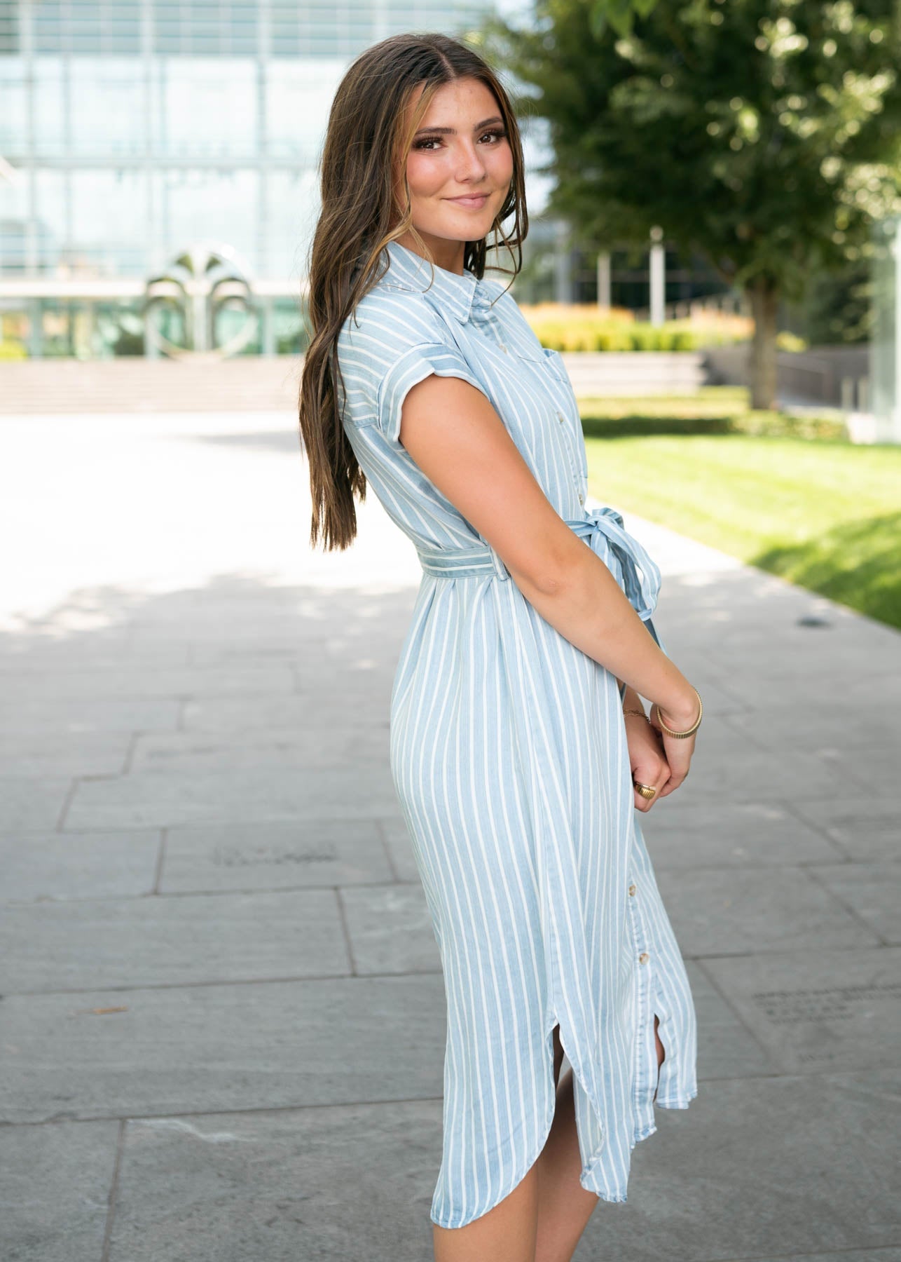 Joan Chambray Striped Dress