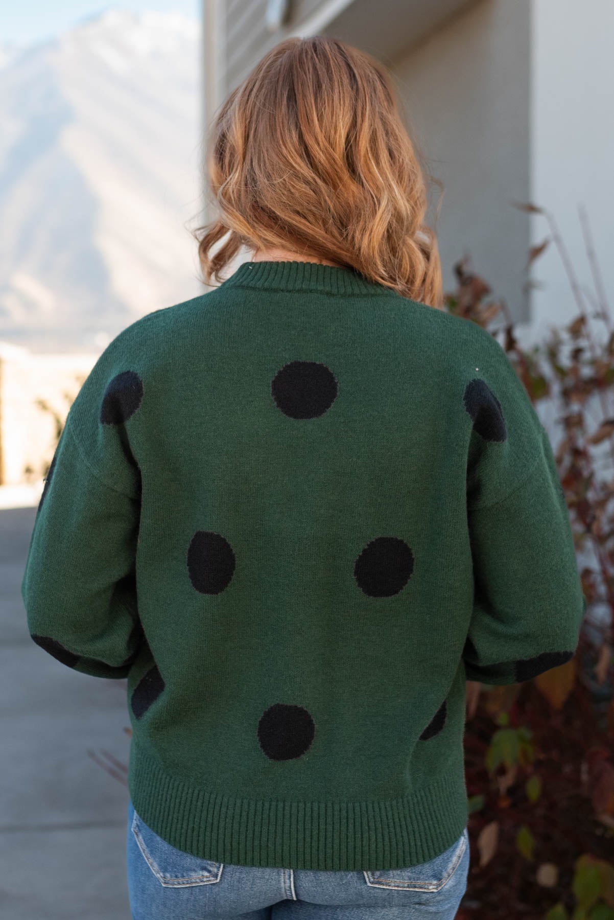 Joslin Green Poka Dot Sweater