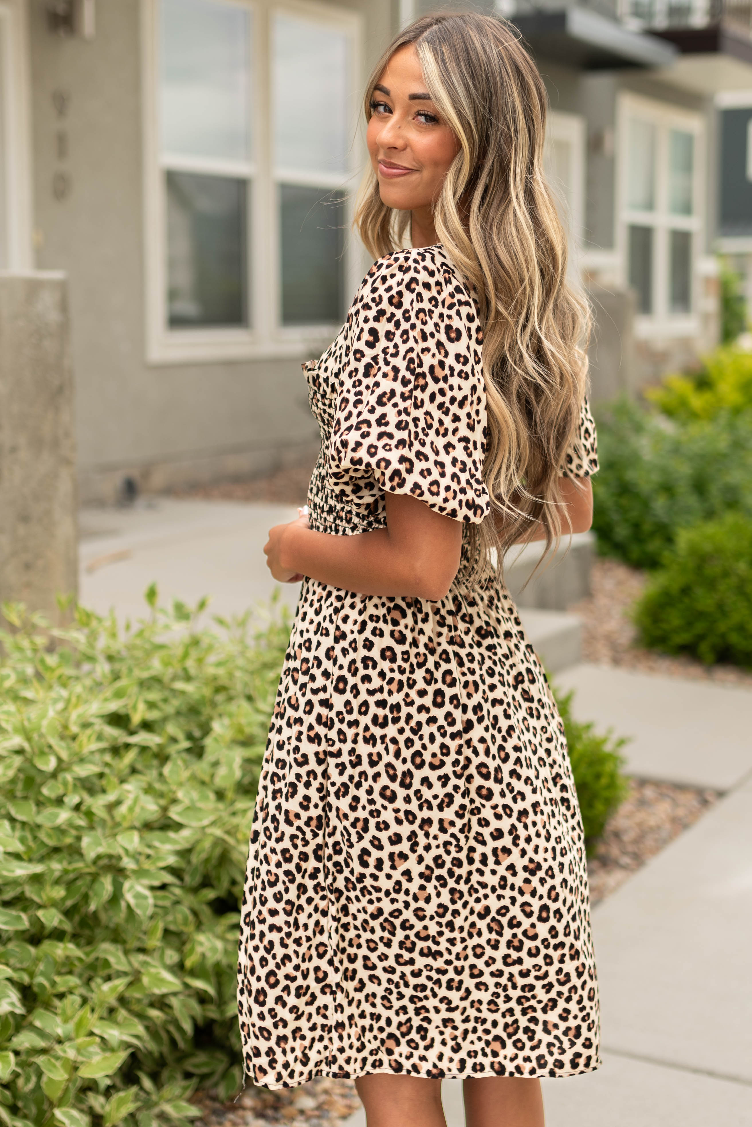 Karla Taupe Cheetah Dress