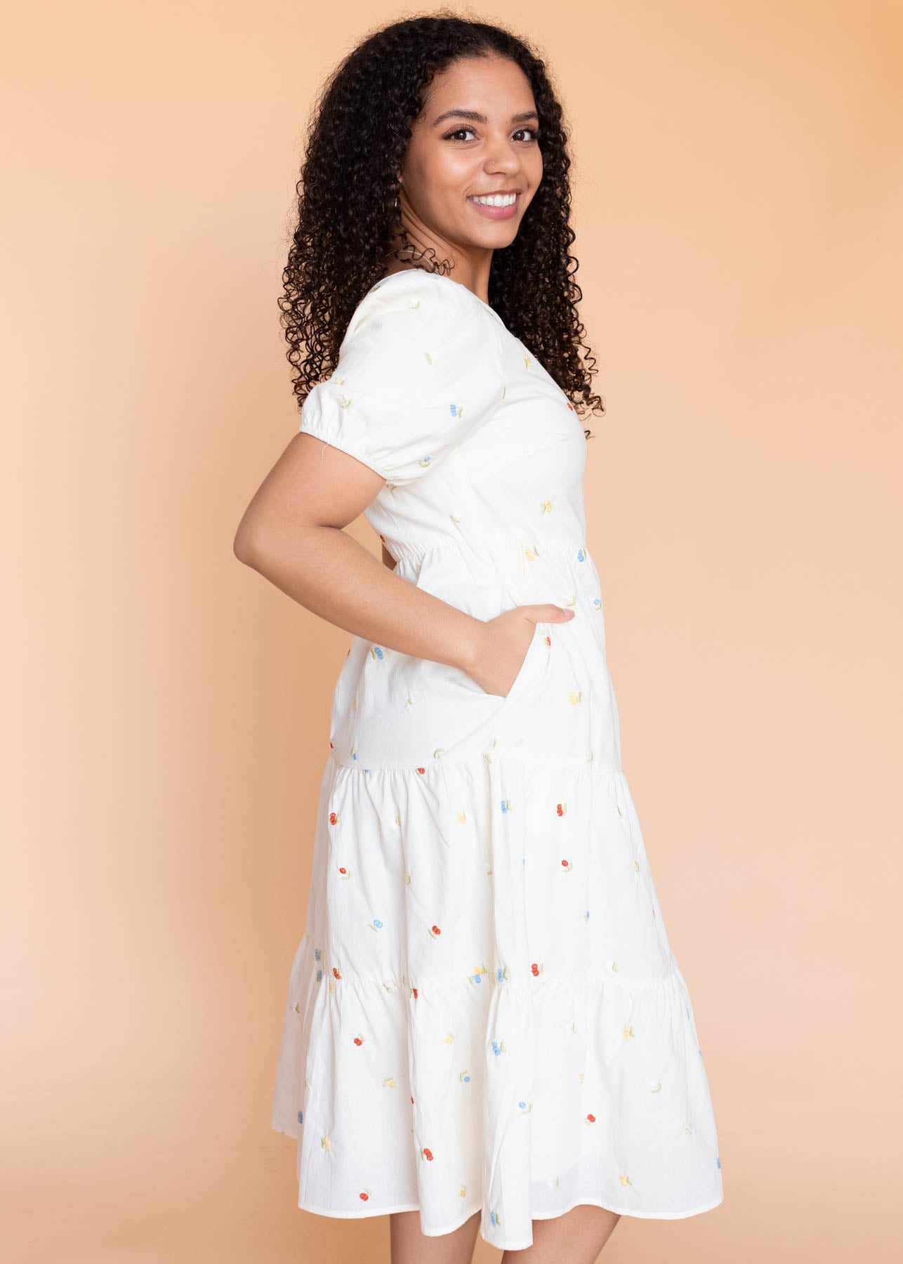 Karolyn Cream Floral Embroidered Dress