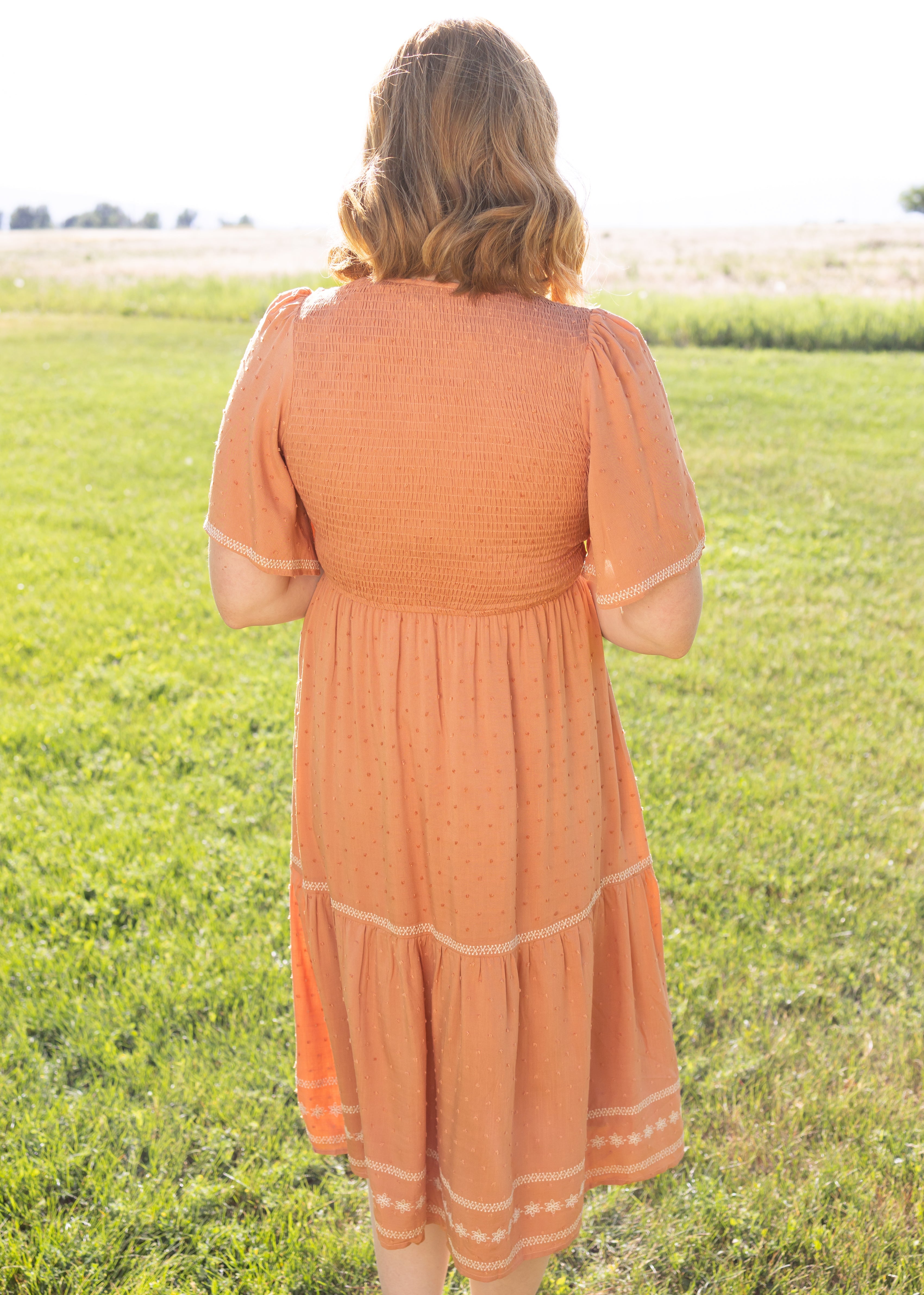 Lakelyn Terracotta Dress