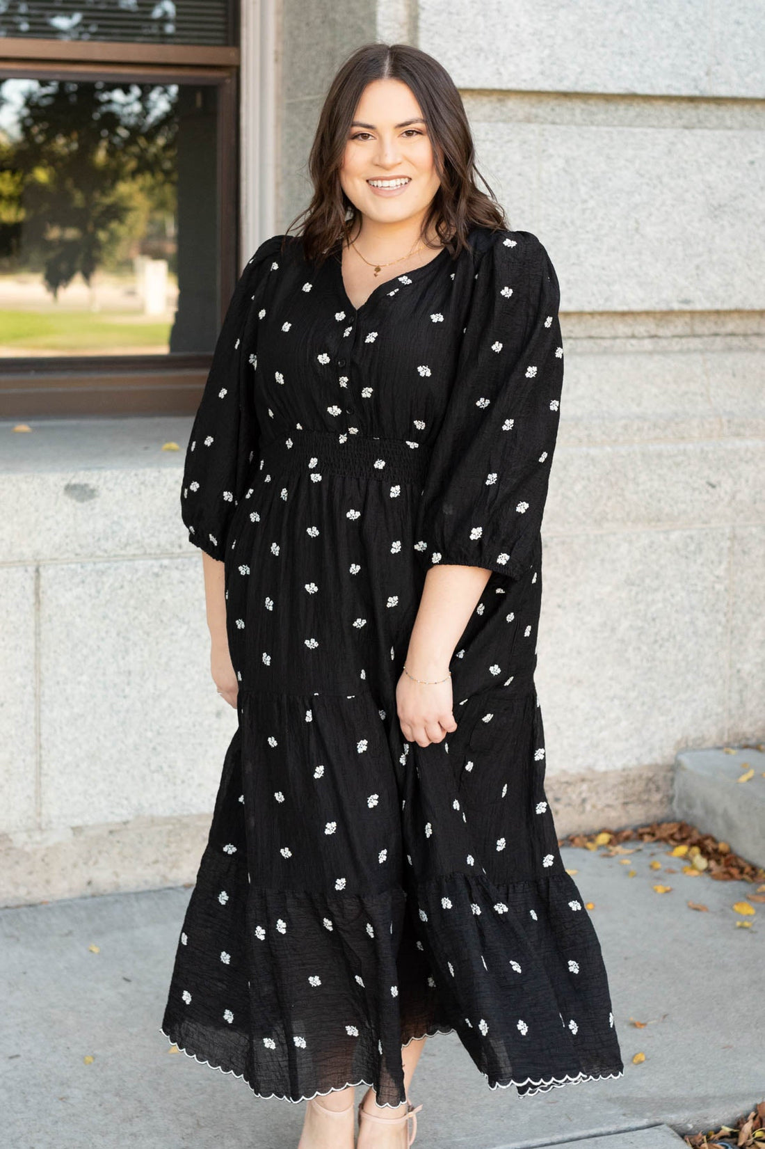 Liz Black Embroidered Button Dress