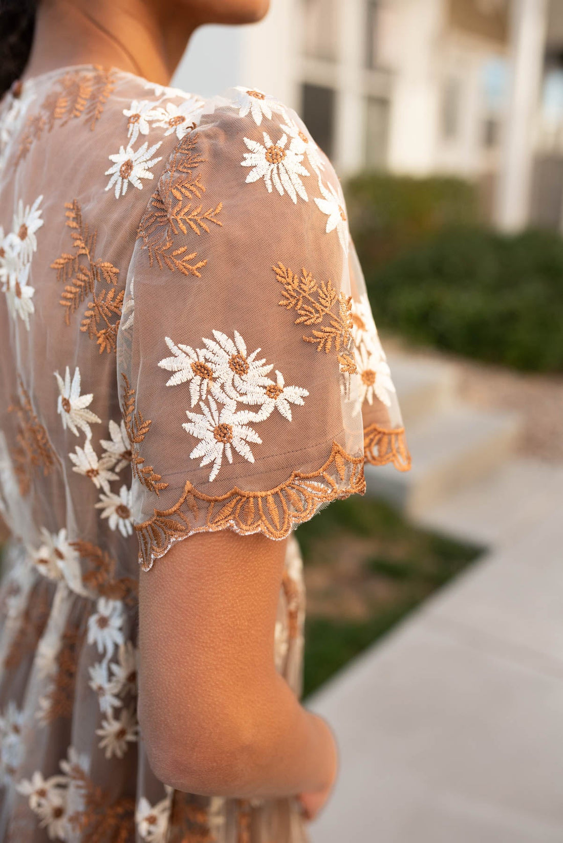 Lola Brown Embroidered Dress