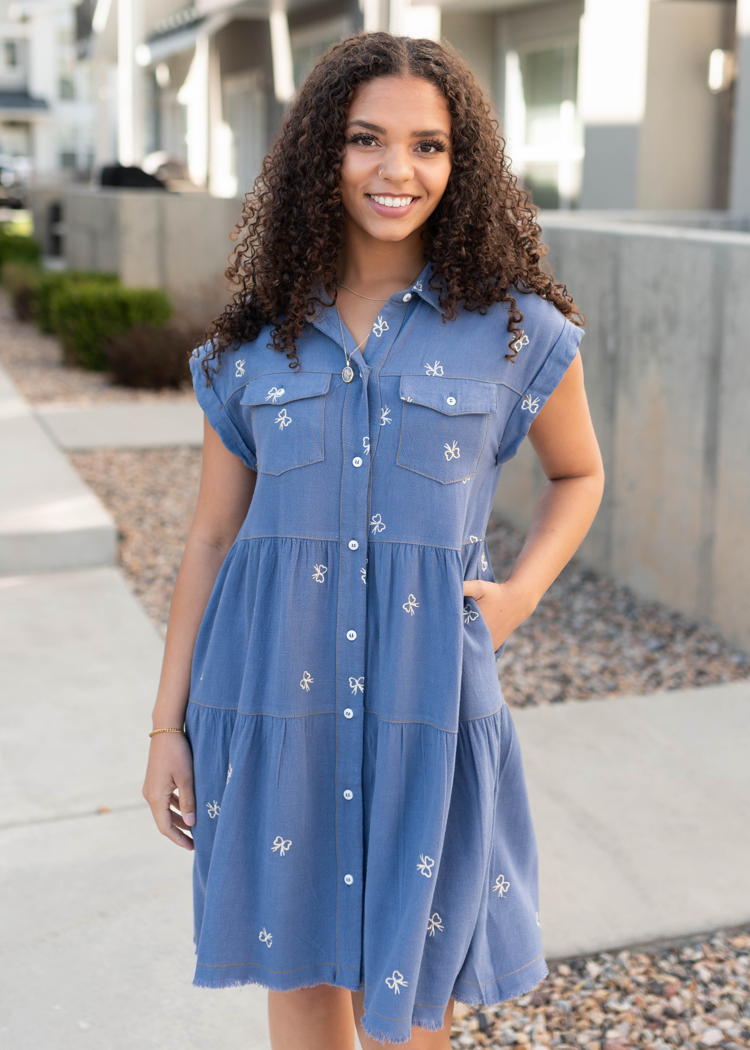 Lynn Denim Bow Embroidered Dress