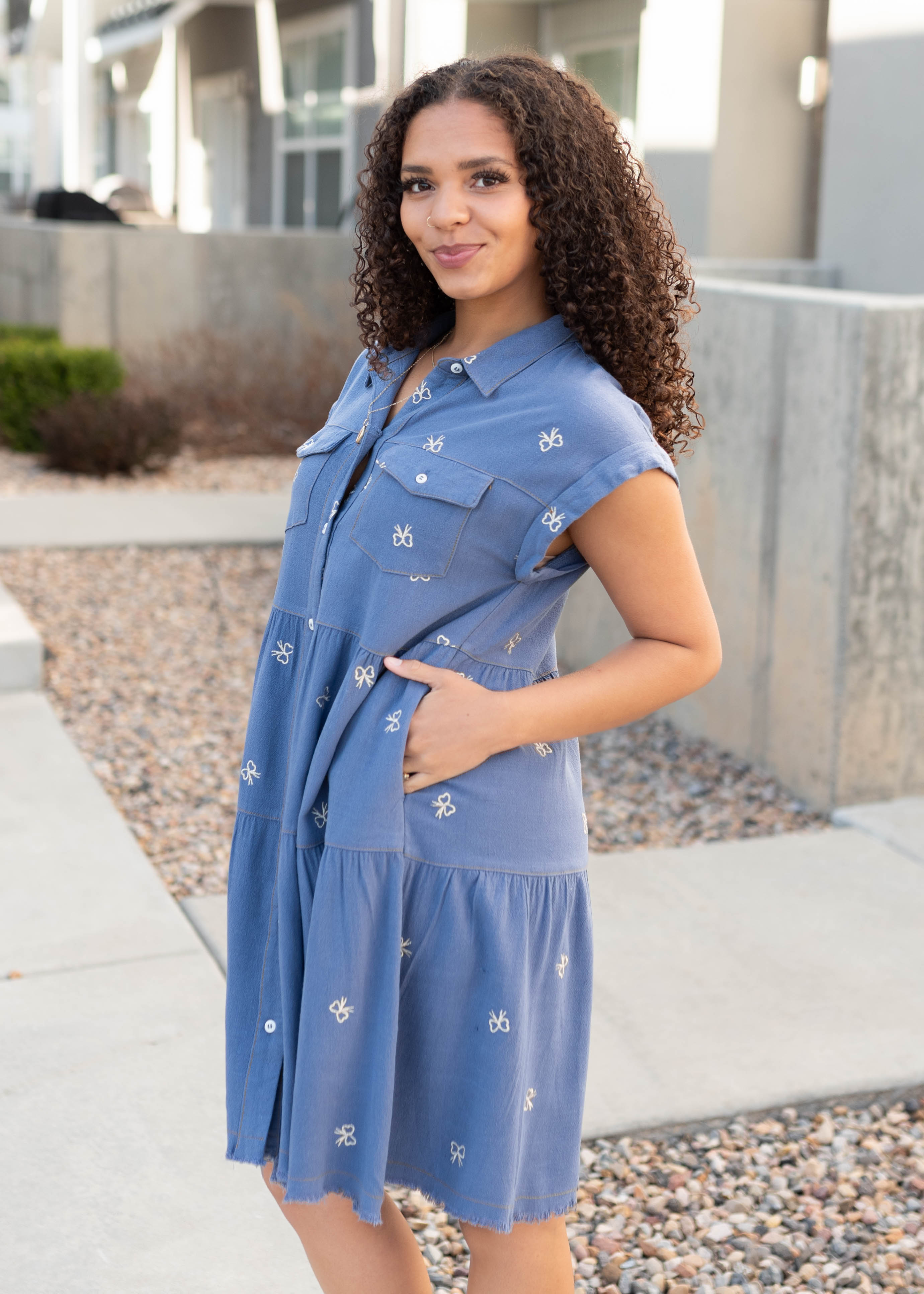 Lynn Denim Bow Embroidered Dress