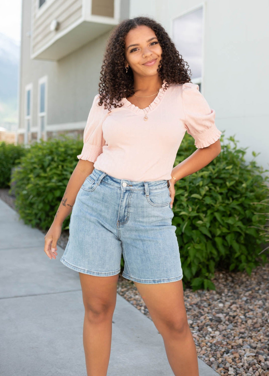 Nicolie Blush Pink Top