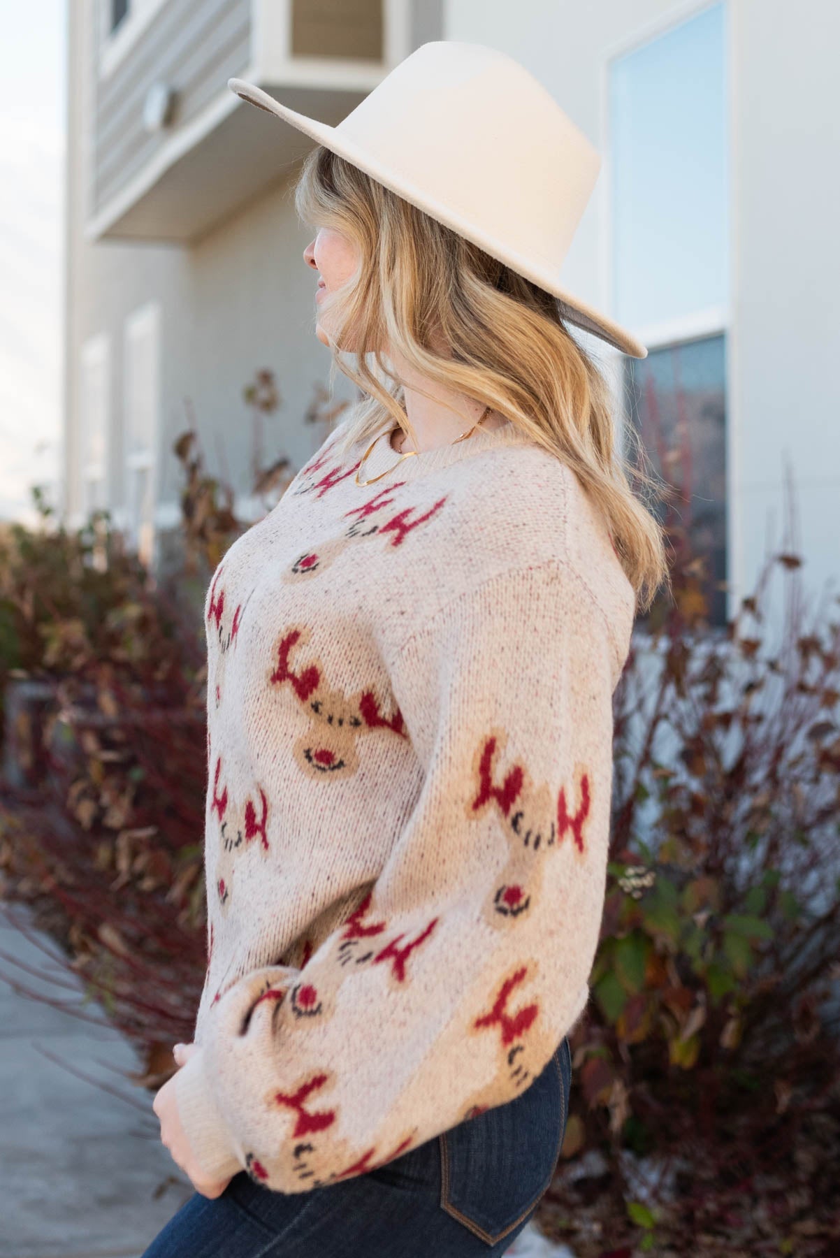 Rudolph Oatmeal Knit Sweater