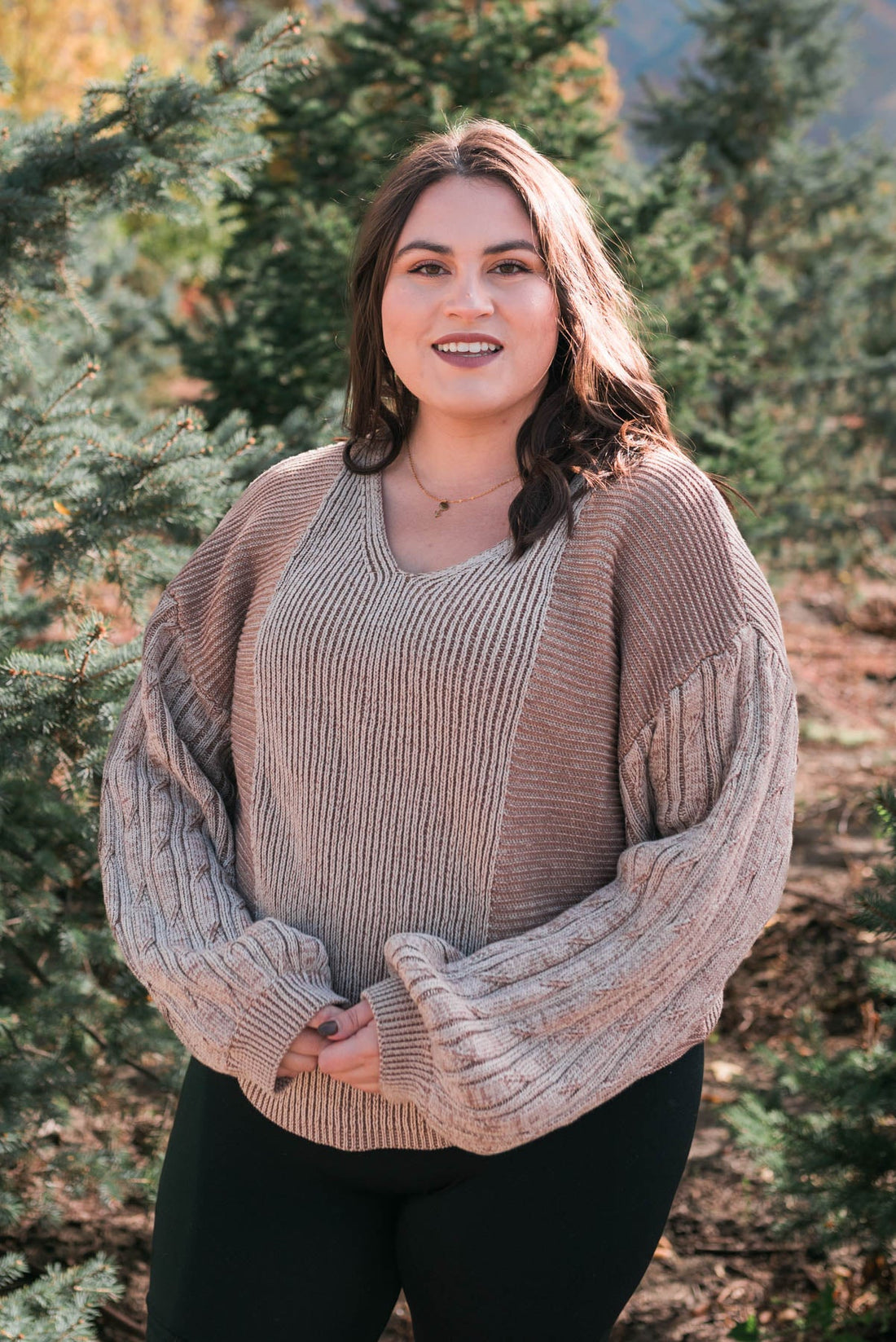 Vienna Taupe Sweater